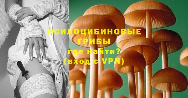 марки lsd Белокуриха